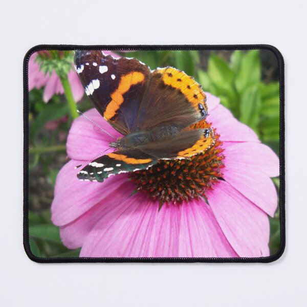 Item preview, Red Admiral Butterfly on Cone Flower designed and sold by coribeth.
