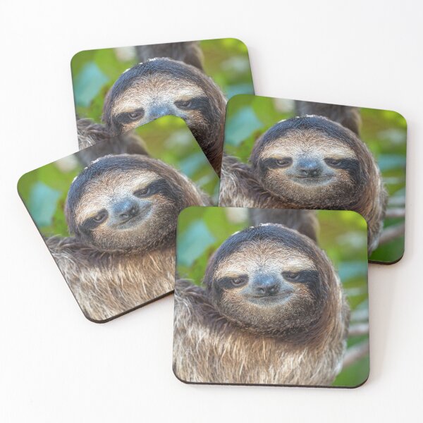Item preview, Three-Toed Sloth Portrait – Wild Rainforest Wildlife Photography Costa Rica designed and sold by WildFrameNature.