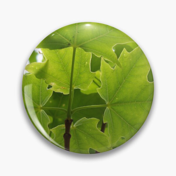 Item preview, Sugar Maple Leaves designed and sold by coribeth.