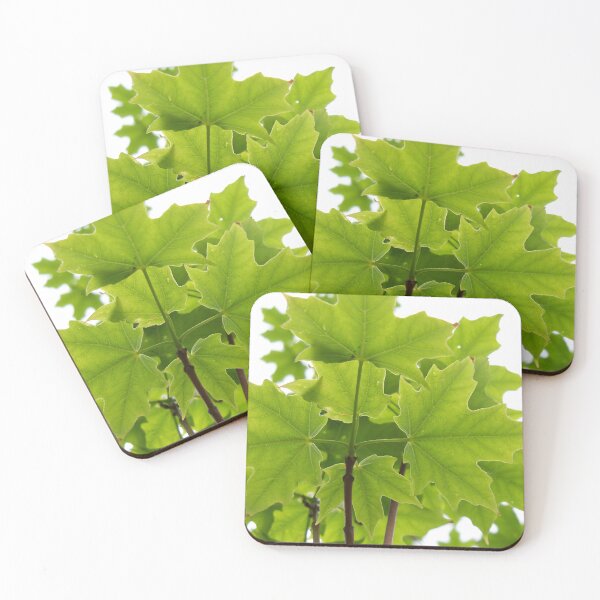 Item preview, Sugar Maple Leaves designed and sold by coribeth.