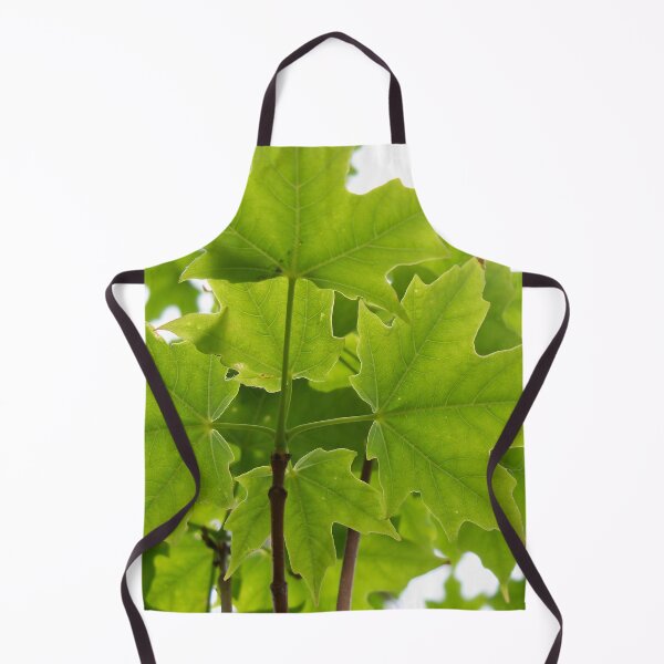 Item preview, Sugar Maple Leaves designed and sold by coribeth.