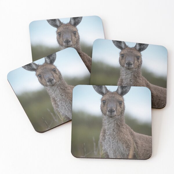 Item preview, Wild Kangaroo Portrait – Australian Wildlife Photography, Direct Eye Contact designed and sold by WildFrameNature.