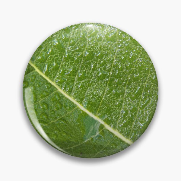 Item preview, Green Leaf with Water Drops designed and sold by coribeth.