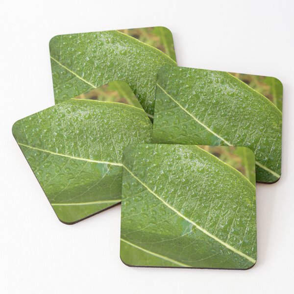 Item preview, Green Leaf with Water Drops designed and sold by coribeth.