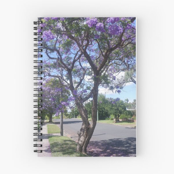 Item preview, Jacaranda in Bloom - Nowra Residential Street designed and sold by Surverta.
