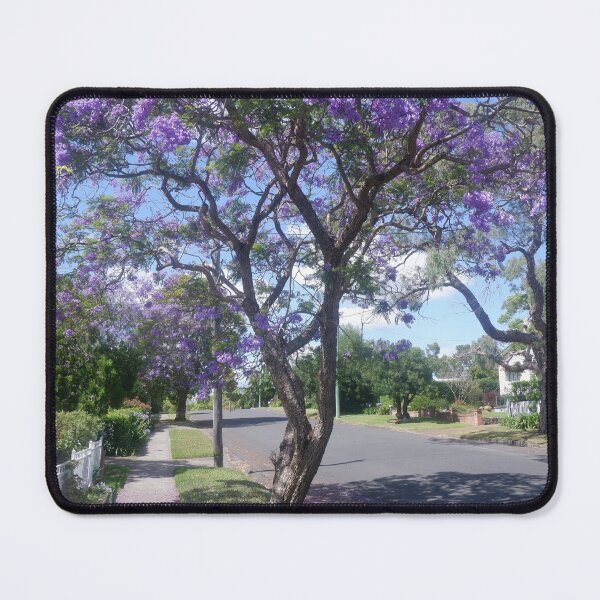 Item preview, Jacaranda in Bloom - Nowra Residential Street designed and sold by Surverta.