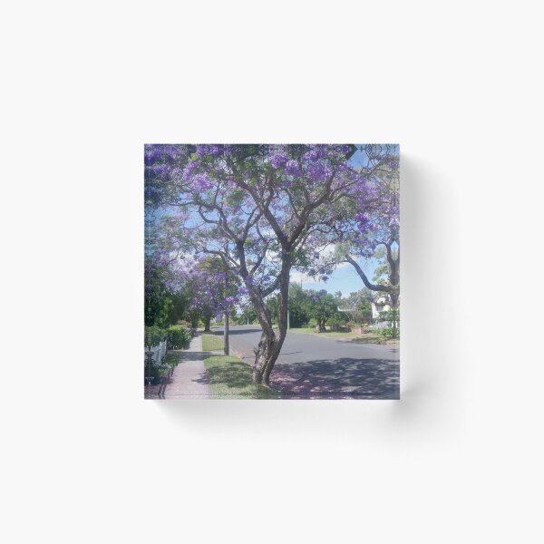 Item preview, Jacaranda in Bloom - Nowra Residential Street designed and sold by Surverta.