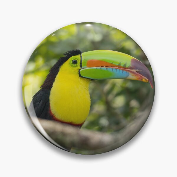 Item preview, Keel-Billed Toucan Wildlife Photography – Tropical Rainforest Bird Costa Rica designed and sold by WildFrameNature.