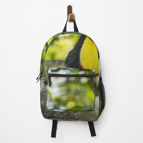 Item preview, Keel-Billed Toucan Wildlife Photography – Tropical Rainforest Bird Costa Rica designed and sold by WildFrameNature.