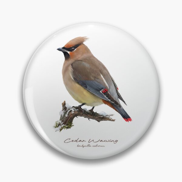 Item preview, Cedar Waxwing on Snowy Branch designed and sold by Takeda-art.