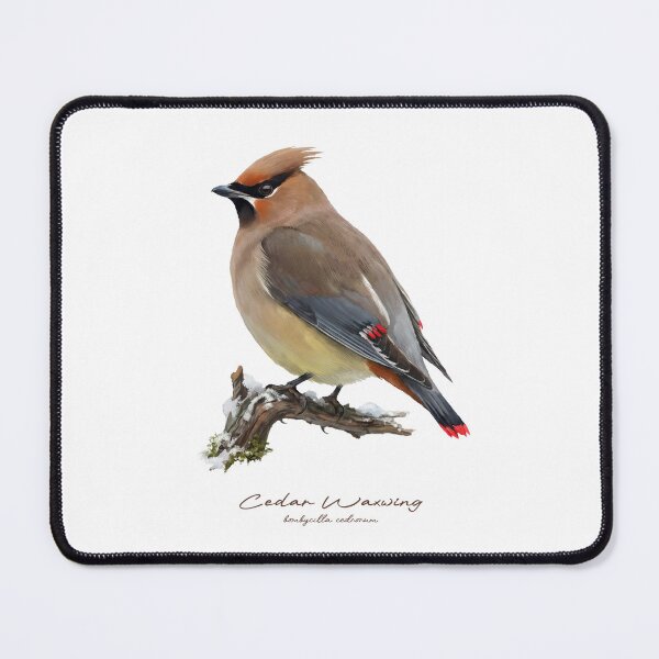 Item preview, Cedar Waxwing on Snowy Branch designed and sold by Takeda-art.