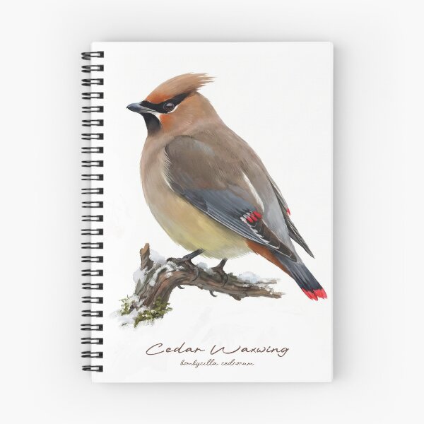 Item preview, Cedar Waxwing on Snowy Branch designed and sold by Takeda-art.