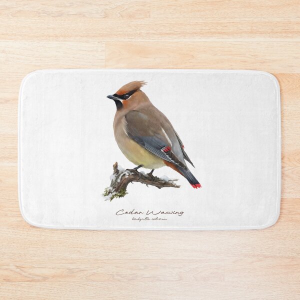 Item preview, Cedar Waxwing on Snowy Branch designed and sold by Takeda-art.