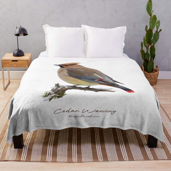Item preview, Cedar Waxwing on Snowy Branch designed and sold by Takeda-art.
