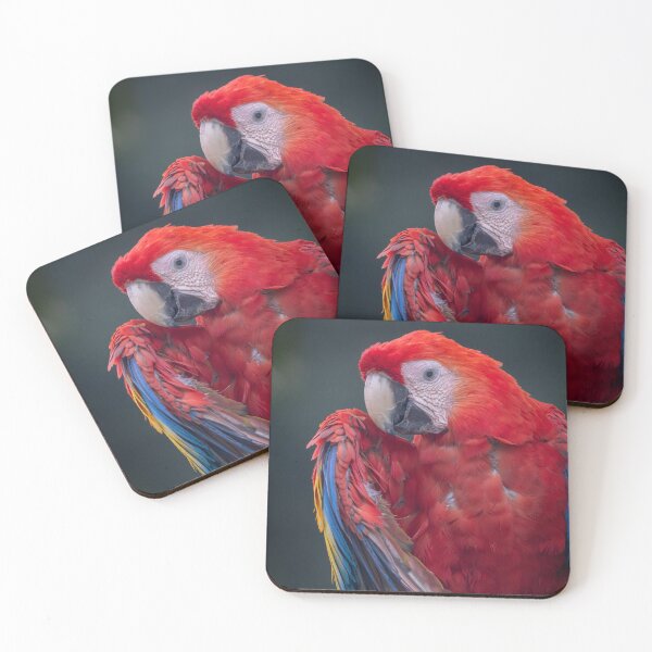 Item preview, Scarlet Macaw Portrait – Wild Tropical Parrot Photography Costa Rica designed and sold by WildFrameNature.