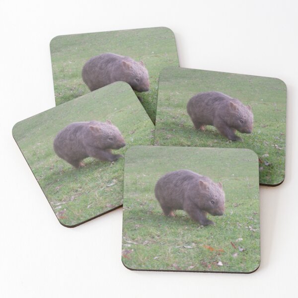 Item preview, Common Wombat Grazing - Bendeela, Shoalhaven NSW designed and sold by Surverta.