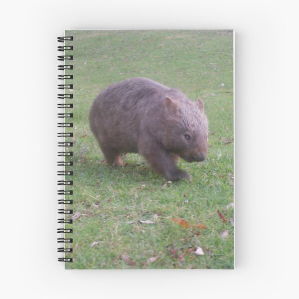 Item preview, Pastoreo de wombats comunes - Bendeela, Shoalhaven, Nueva Gales del Sur designed and sold by Surverta.