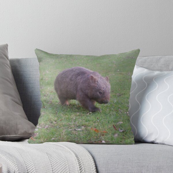 Item preview, Pastoreo de wombats comunes - Bendeela, Shoalhaven, Nueva Gales del Sur designed and sold by Surverta.