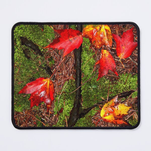 Item preview, Autumn's Wet Leaves designed and sold by BostonArcImage.