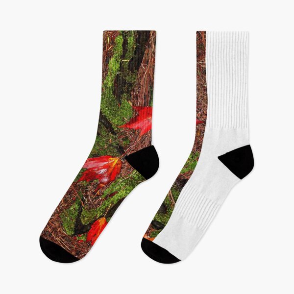 Item preview, Autumn's Wet Leaves designed and sold by BostonArcImage.