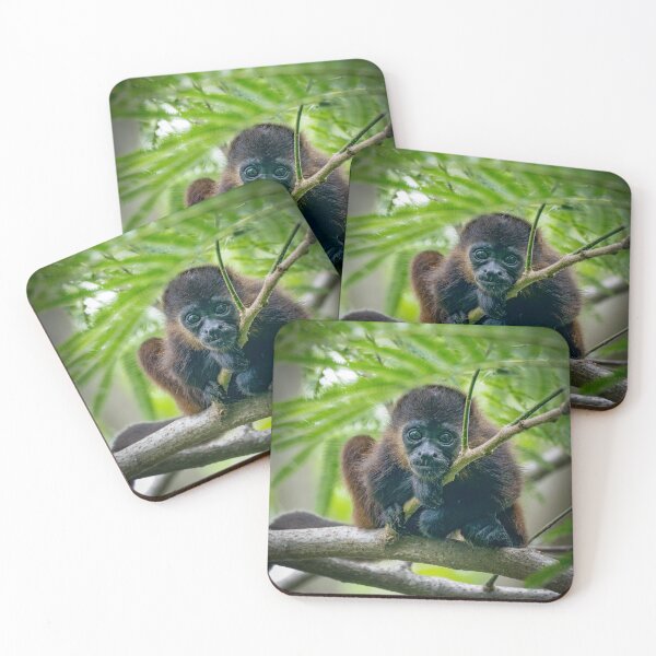 Item preview, Baby Howler Monkey Portrait – Wild Rainforest Wildlife Photography Costa Rica designed and sold by WildFrameNature.