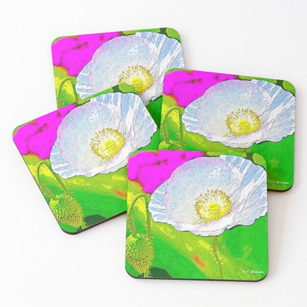 Item preview, White Poppy, Flower and Bud, Illustration designed and sold by AMacGPhilly.