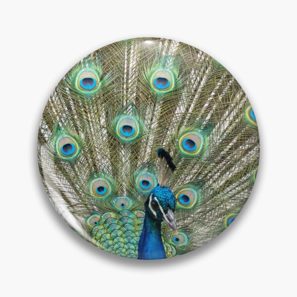 Item preview, Peacock Full Display – Exotic Bird Photography, Colorful Feather Wall Art designed and sold by WildFrameNature.