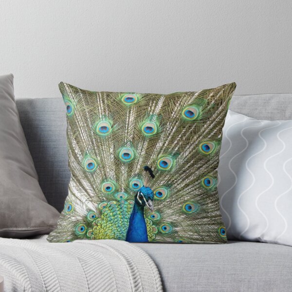 Item preview, Peacock Full Display – Exotic Bird Photography, Colorful Feather Wall Art designed and sold by WildFrameNature.