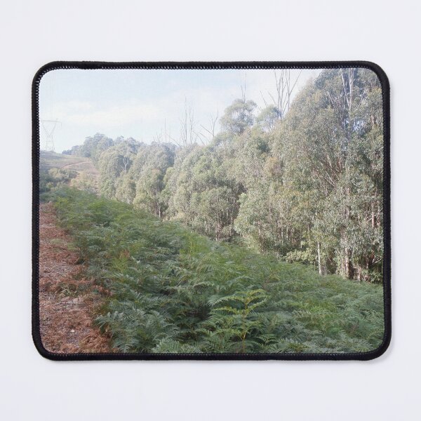 Item preview, Cleared Edge - Fern and Bush designed and sold by Surverta.