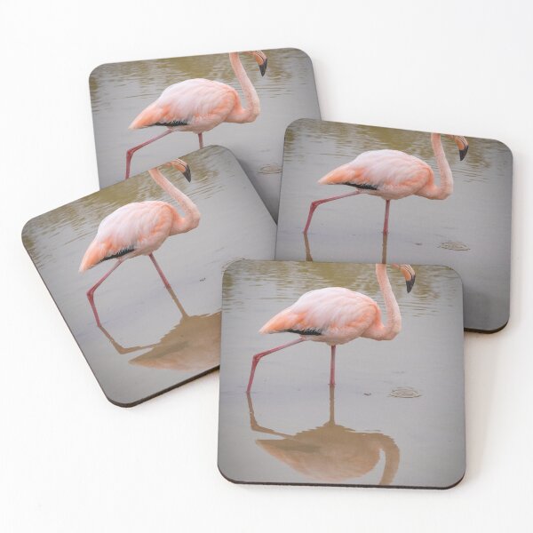 Item preview, Pink Flamingo Reflection – Wild Galapagos Wildlife Photography, Water Mirror designed and sold by WildFrameNature.
