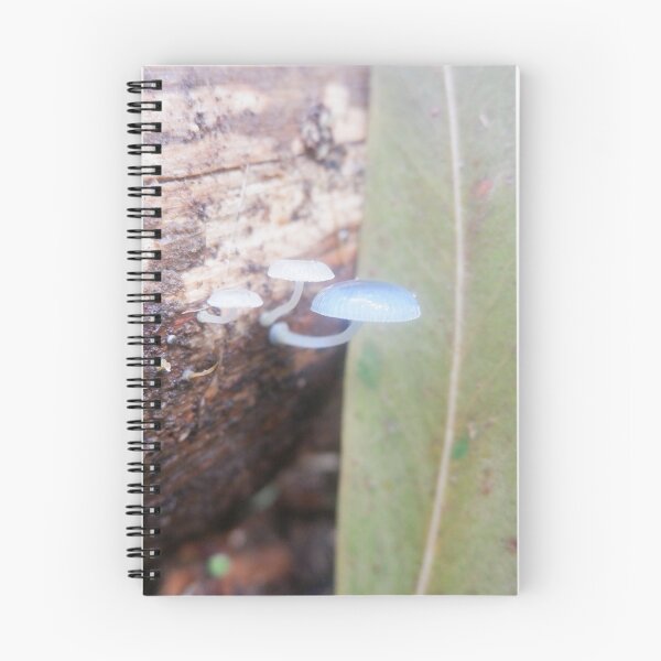Item preview, Pixie's Parasol Fungi — Namadgi National Park designed and sold by Surverta.