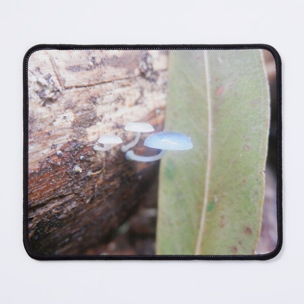 Item preview, Pixie's Parasol Fungi — Namadgi National Park designed and sold by Surverta.
