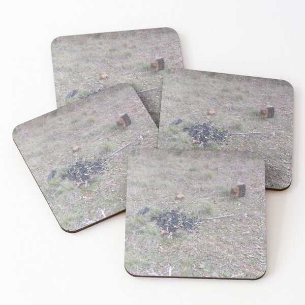 Item preview, Illegal Campfire - Lower Cotter Catchment Reserve designed and sold by Surverta.