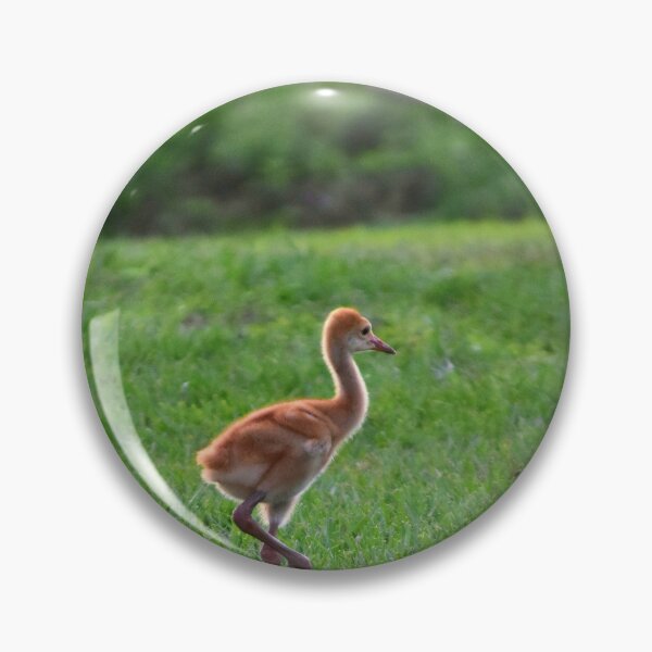 Item preview, Young Crane in Green Field designed and sold by MercerImages.