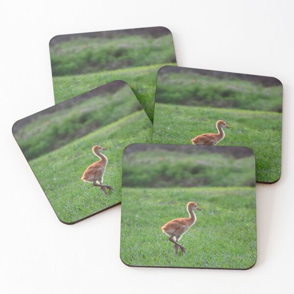 Item preview, Young Crane in Green Field designed and sold by MercerImages.