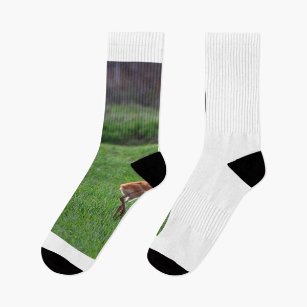 Item preview, Young Crane in Green Field designed and sold by MercerImages.