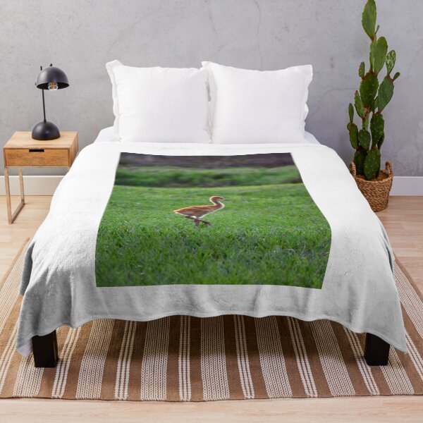 Item preview, Young Crane in Green Field designed and sold by MercerImages.