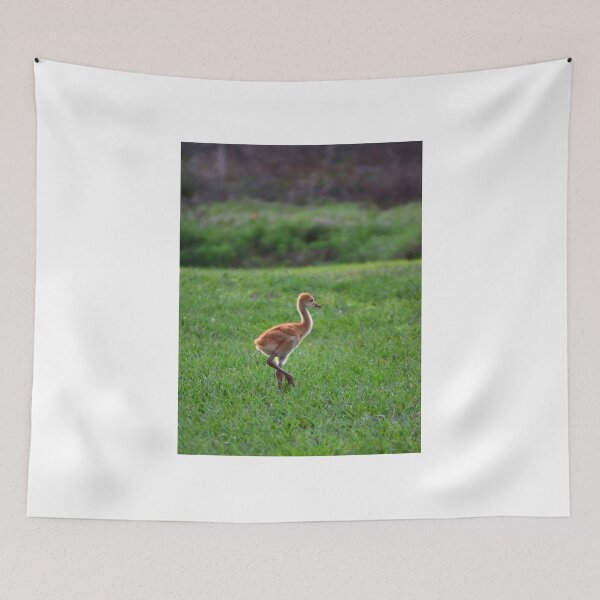 Item preview, Young Crane in Green Field designed and sold by MercerImages.