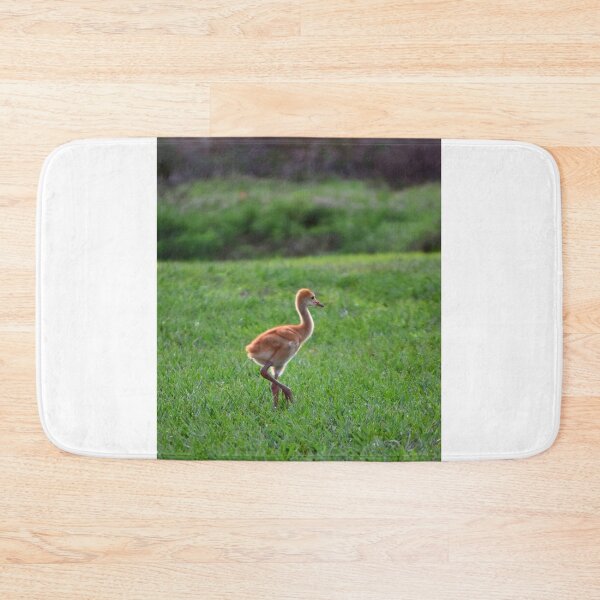 Item preview, Young Crane in Green Field designed and sold by MercerImages.