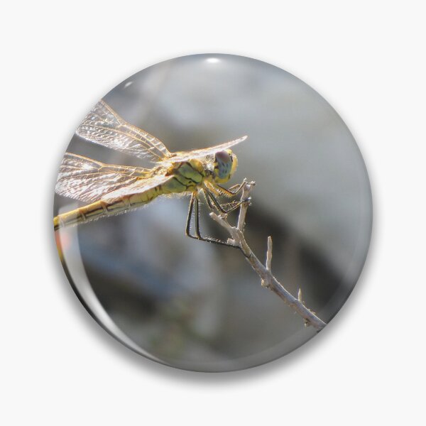Item preview, Yellow Dragonfly Close-Up Perched on Twig With Sunlit Wings Over Blurred Natural Background designed and sold by Nmallia.