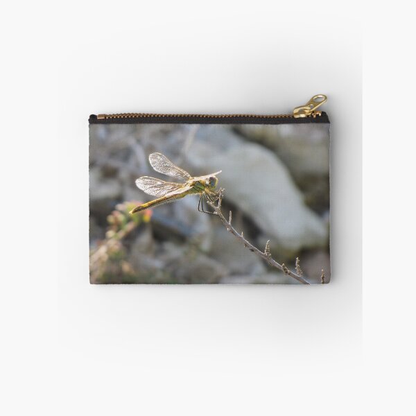 Item preview, Yellow Dragonfly Close-Up Perched on Twig With Sunlit Wings Over Blurred Natural Background designed and sold by Nmallia.