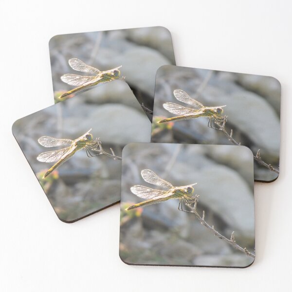 Item preview, Yellow Dragonfly Close-Up Perched on Twig With Sunlit Wings Over Blurred Natural Background designed and sold by Nmallia.