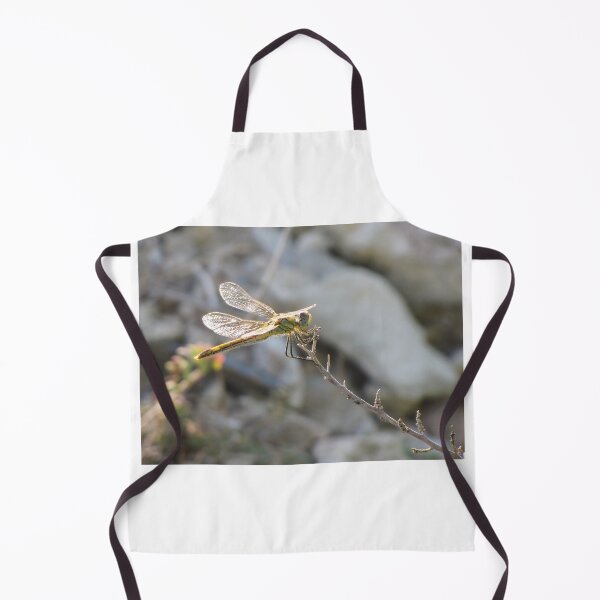 Item preview, Yellow Dragonfly Close-Up Perched on Twig With Sunlit Wings Over Blurred Natural Background designed and sold by Nmallia.