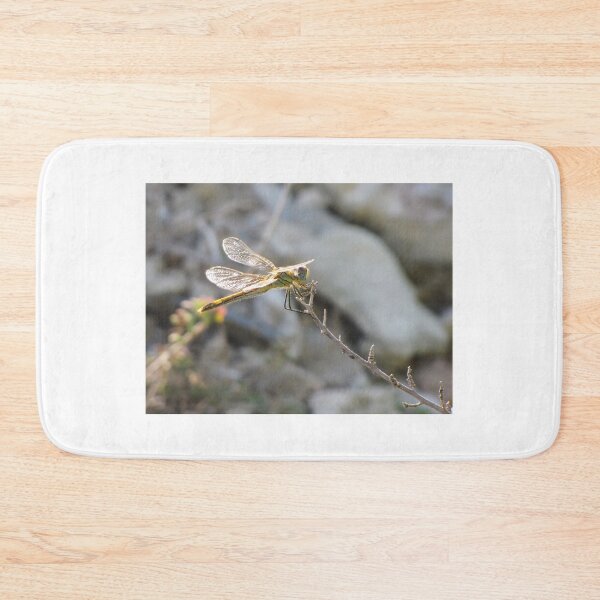 Item preview, Yellow Dragonfly Close-Up Perched on Twig With Sunlit Wings Over Blurred Natural Background designed and sold by Nmallia.