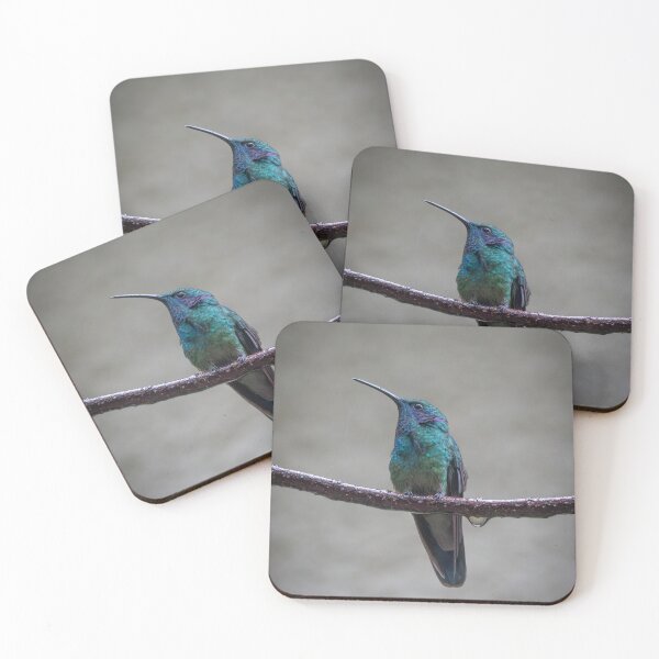 Item preview, Lesser Violetear Hummingbird in Rain – Wild Costa Rica Bird Photography designed and sold by WildFrameNature.
