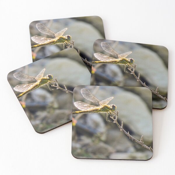 Item preview, Yellow Dragonfly Close-Up Perched on Twig With Sunlit Wings Over Blurred Natural Background designed and sold by Nmallia.
