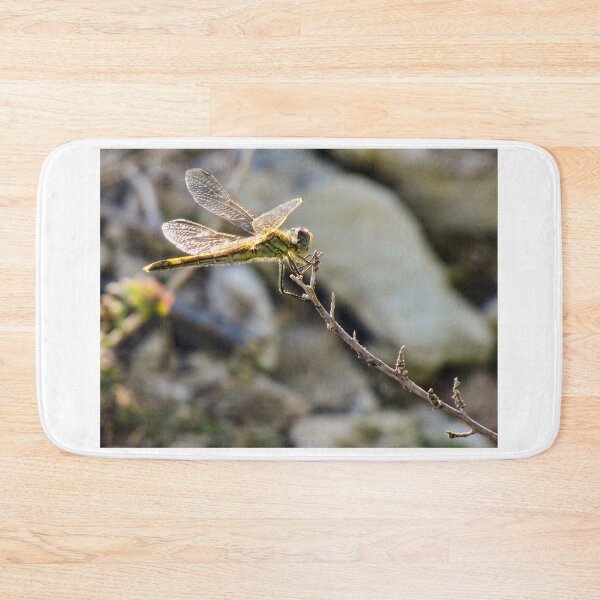 Item preview, Yellow Dragonfly Close-Up Perched on Twig With Sunlit Wings Over Blurred Natural Background designed and sold by Nmallia.