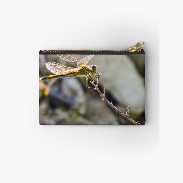 Item preview, Yellow Dragonfly Close-Up Perched on Twig With Sunlit Wings Over Blurred Natural Background designed and sold by Nmallia.