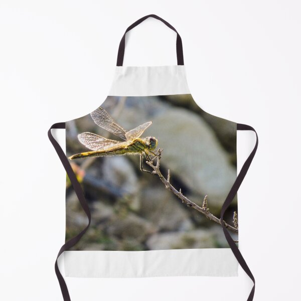 Item preview, Yellow Dragonfly Close-Up Perched on Twig With Sunlit Wings Over Blurred Natural Background designed and sold by Nmallia.