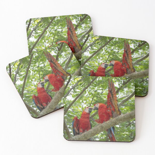 Item preview, Scarlet Macaw Pair – Wild Rainforest Parrots Costa Rica, Macaw Couple Photography designed and sold by WildFrameNature.